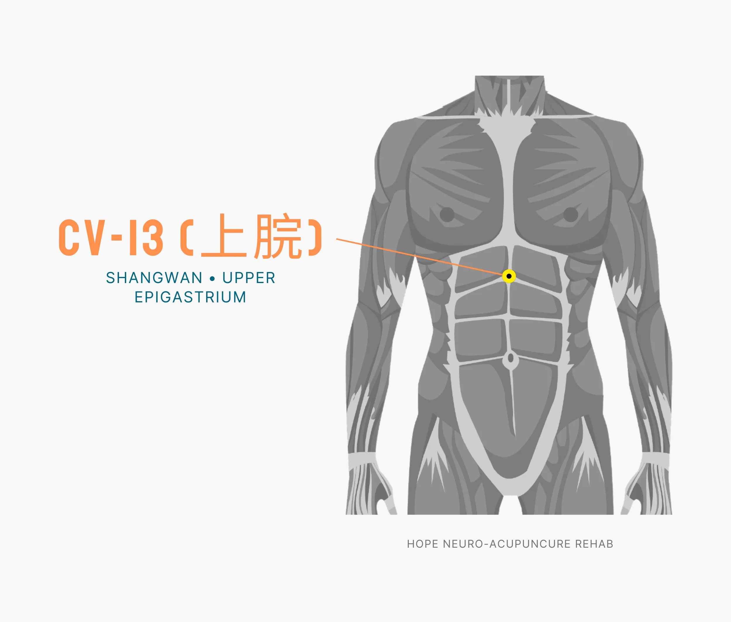 Diagram Showing Where the An Acupuncture Point is within the Conception Vessel Meridian