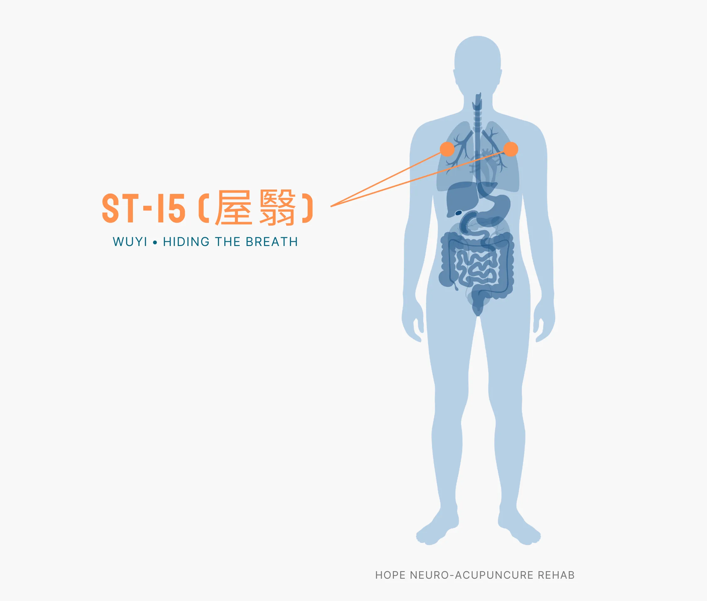 Diagram Showing Where the ST-15 Acupuncture Point (also known as Wuyi or Hiding the Breath) is within the Stomach Meridians