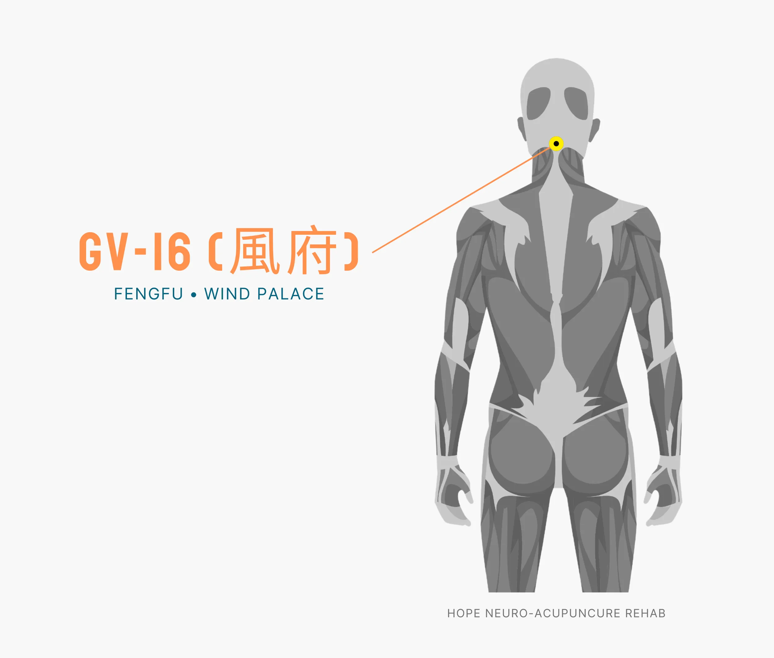 Diagram Showing Where the An Acupuncture Point is within the Governing Vessel Meridian