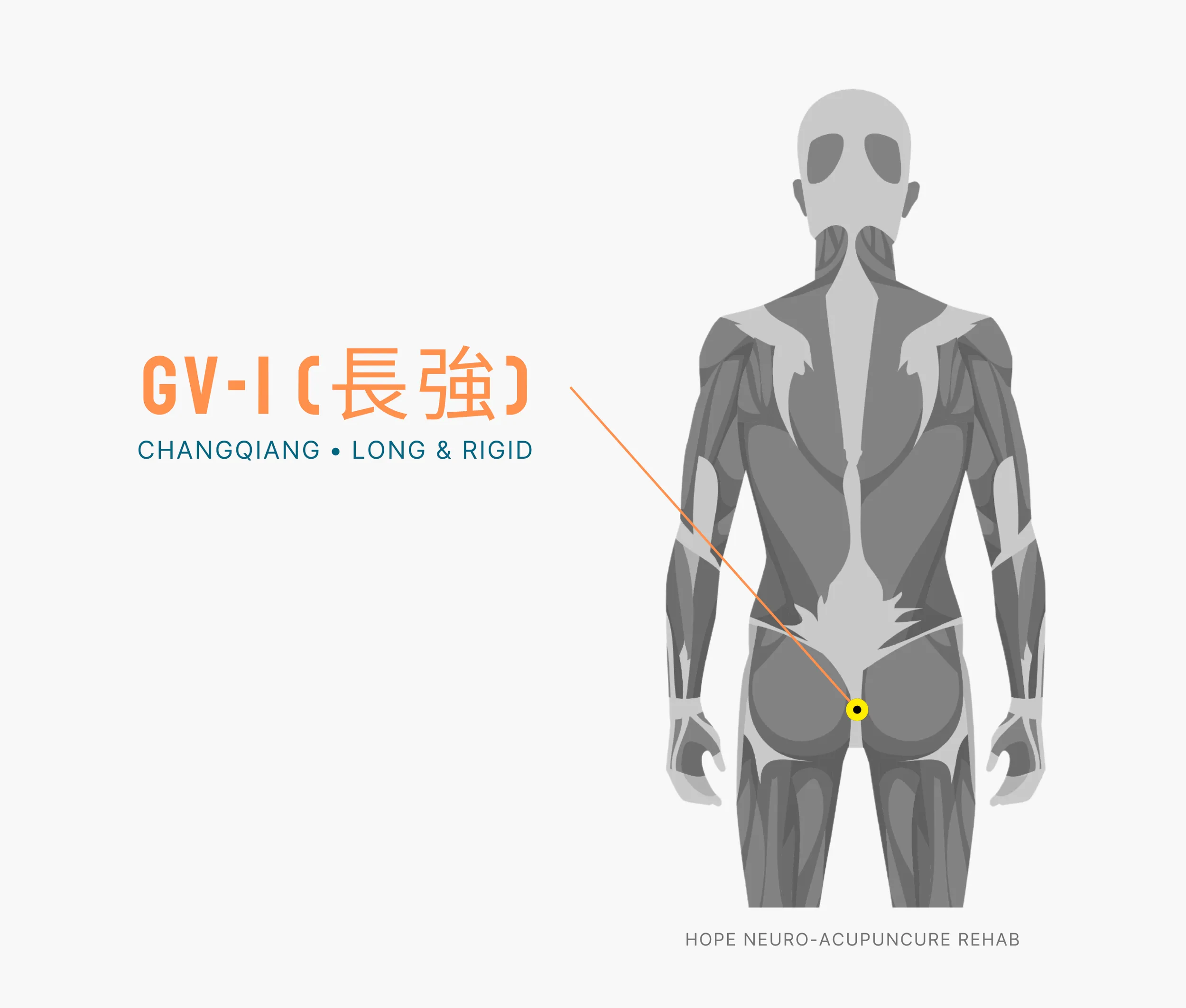 Diagram Showing Where the An Acupuncture Point is within the Governing Vessel Meridian