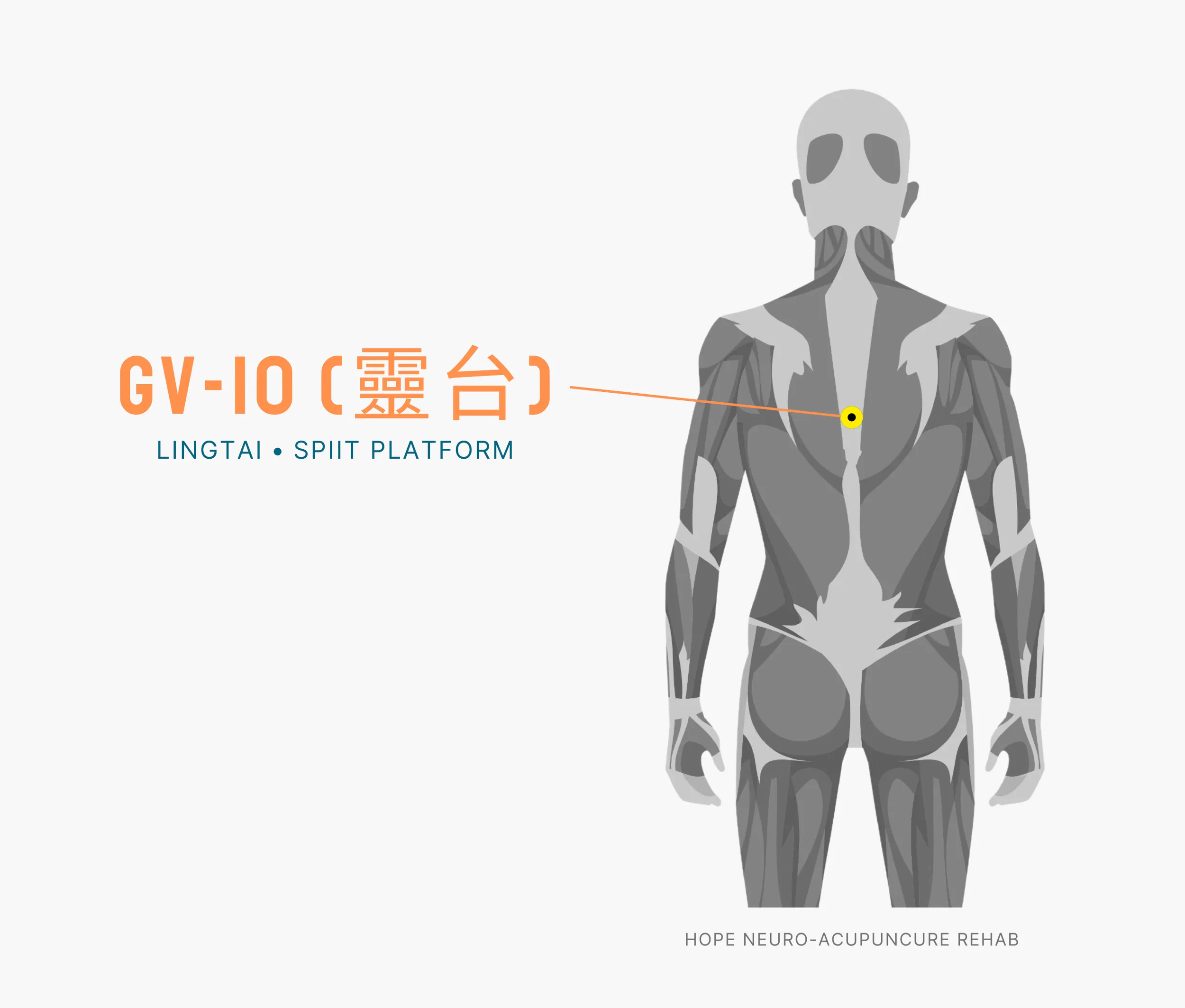 Diagram Showing Where the An Acupuncture Point is within the Governing Vessel Meridian