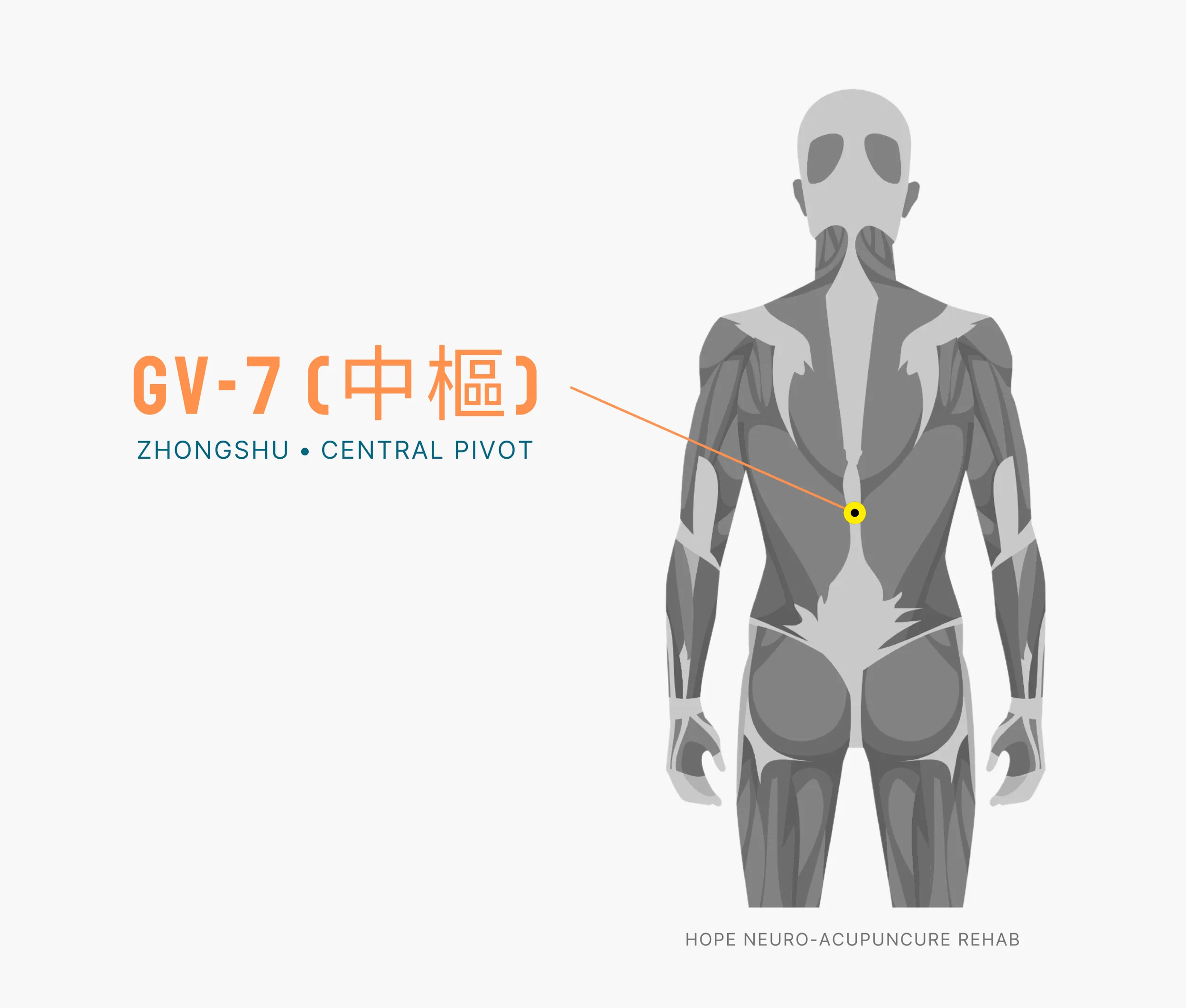 Diagram Showing Where the An Acupuncture Point is within the Governing Vessel Meridian