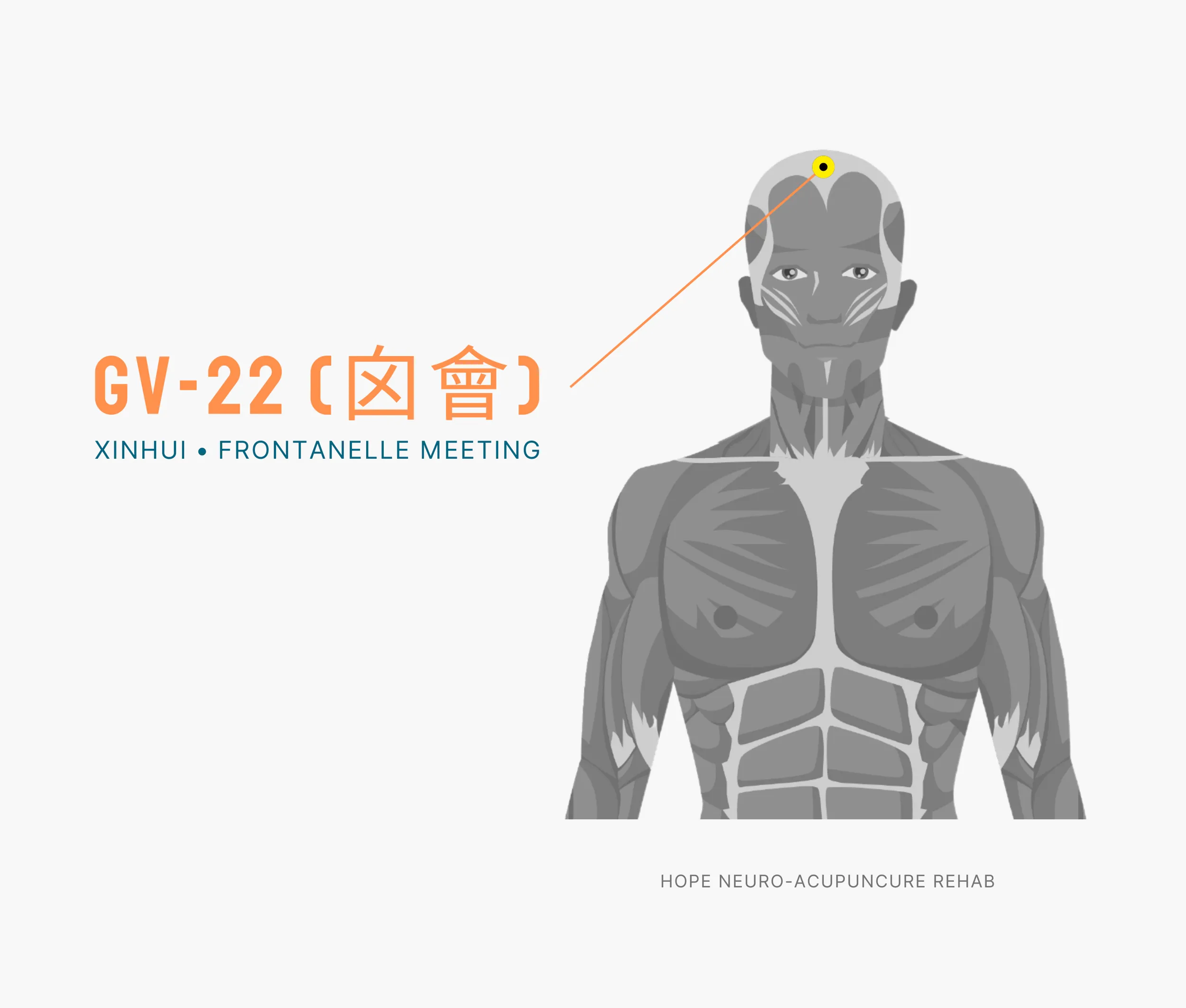 Diagram Showing Where the An Acupuncture Point is within the Governing Vessel Meridian