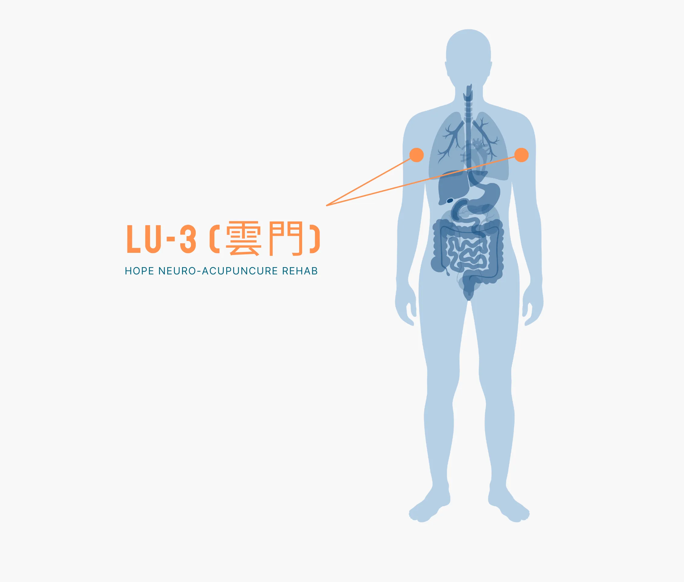 Diagram Showing Where the Lu 3 Acupuncture Point is within the Lung Meridians