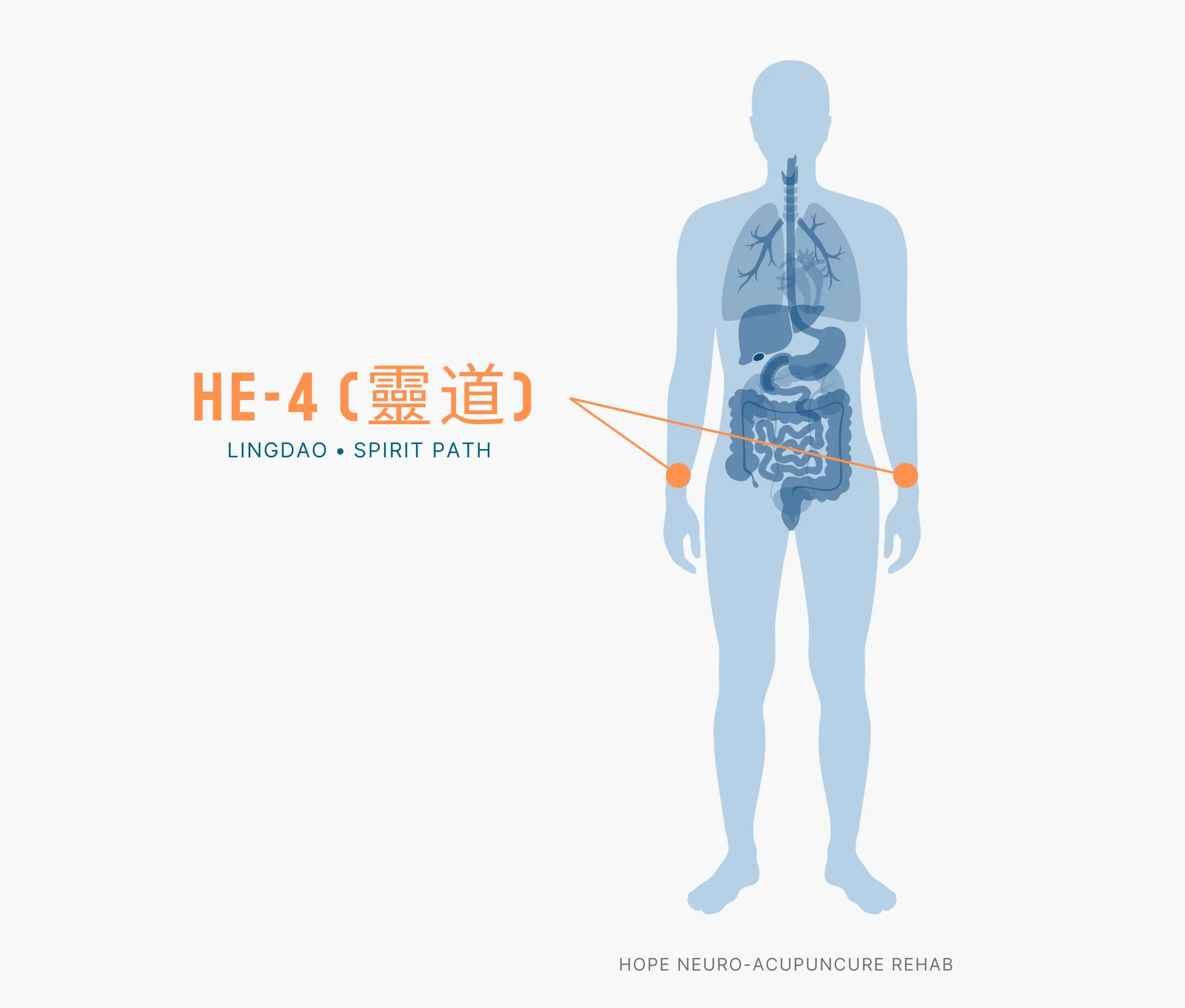Diagram Showing Where the HE-4 Acupuncture Point (also known as Lingdao or Spirit Path) is within the Heart Meridians