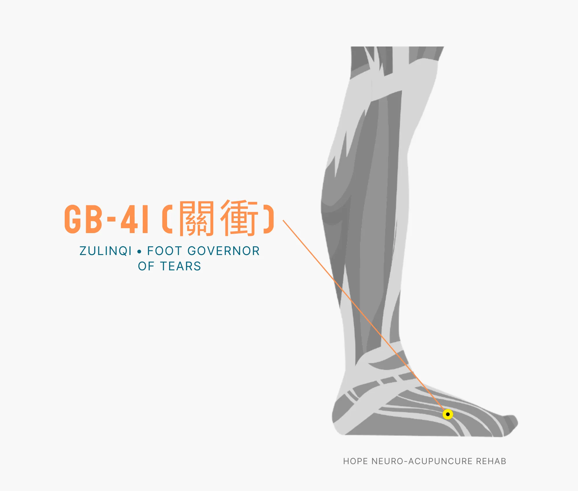Diagram Showing Where the GB-41 Acupuncture Point (also known as Zulinqi or Foot Governor) is within the Gall Bladder Meridians