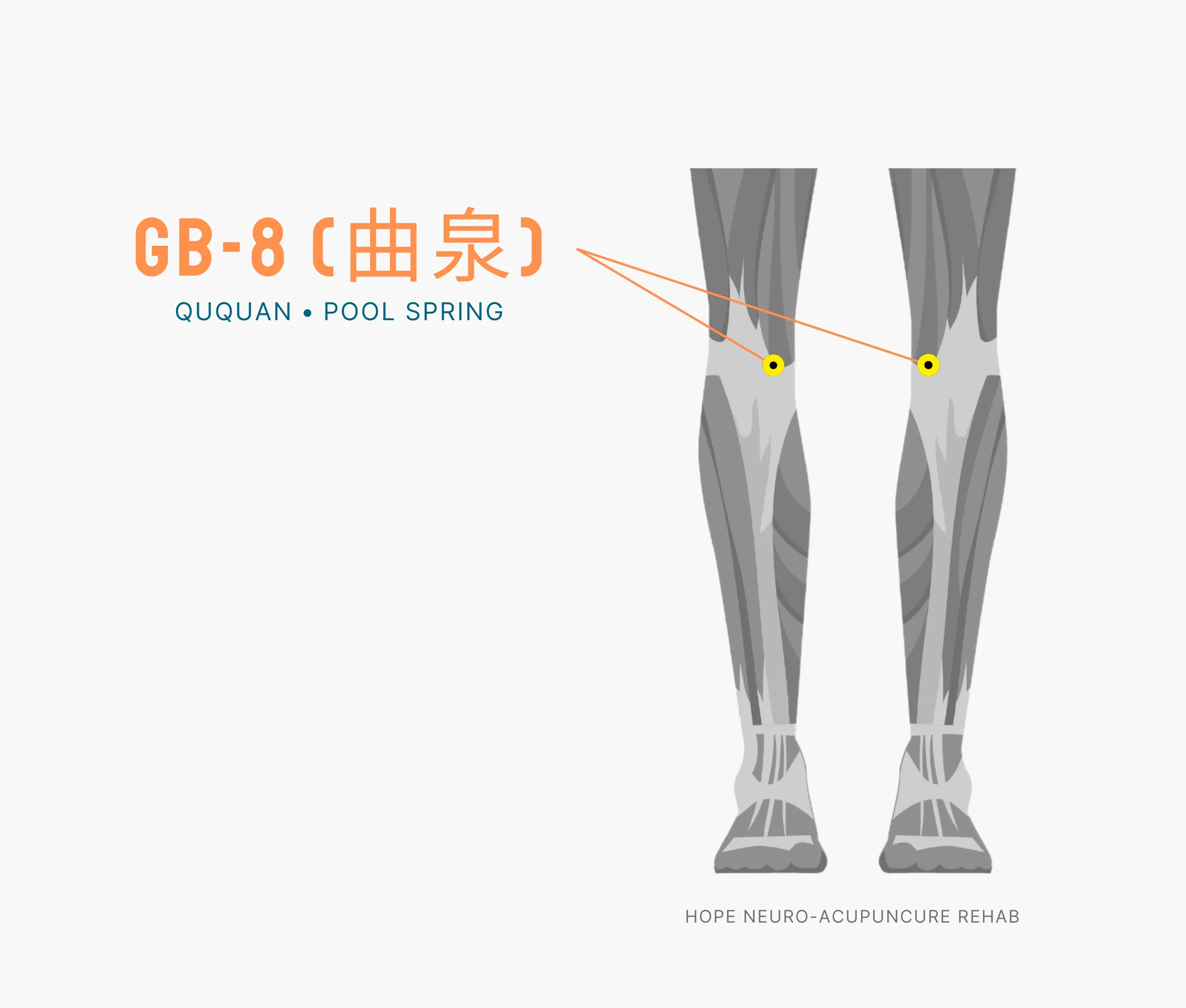 Diagram Showing Where the An Acupuncture Point is within the Liver Meridian