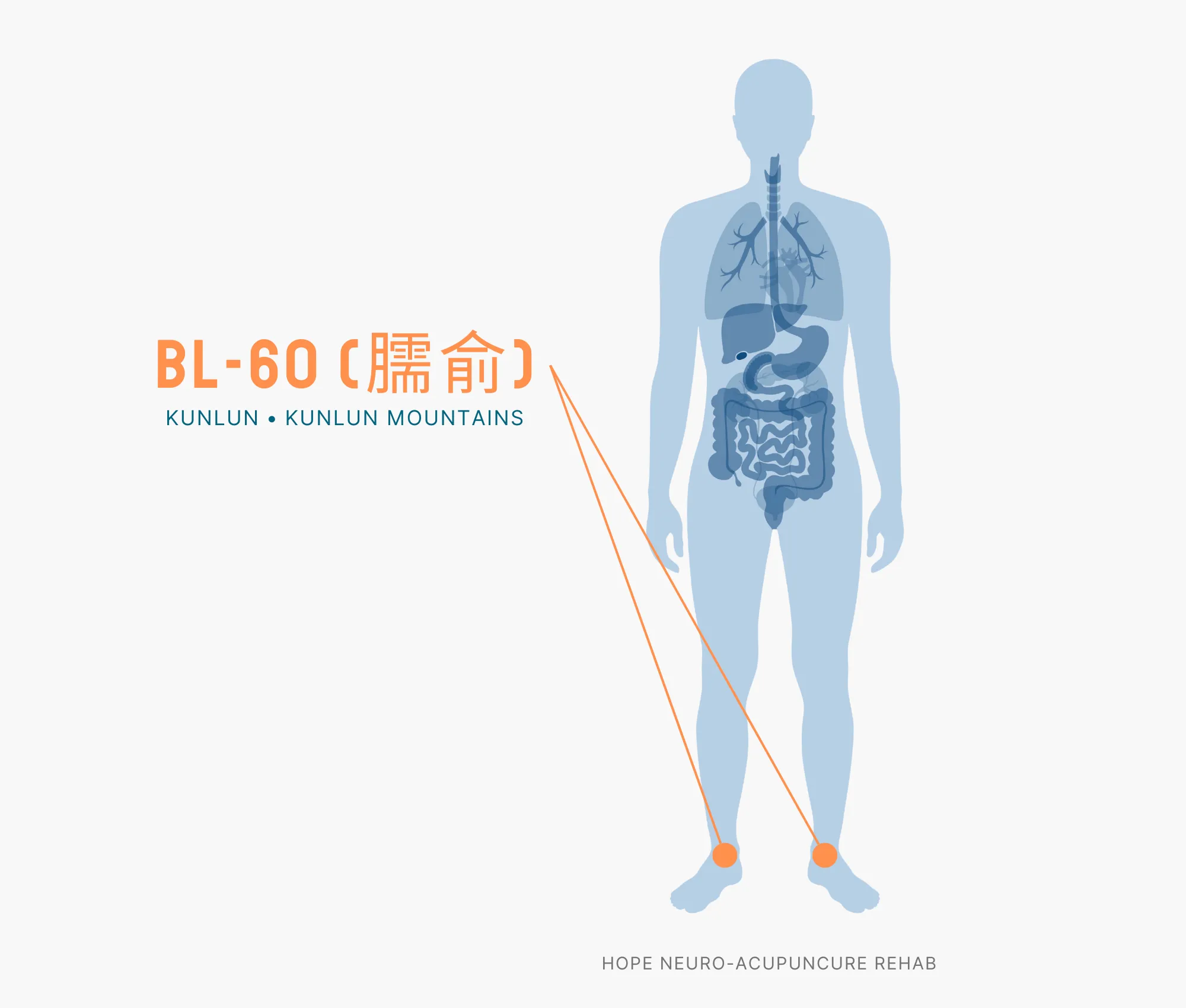Diagram Showing Where the BL-60 Acupuncture Point (also known as Kunlun or Kunlun Mountains) is within the Bladder Meridians