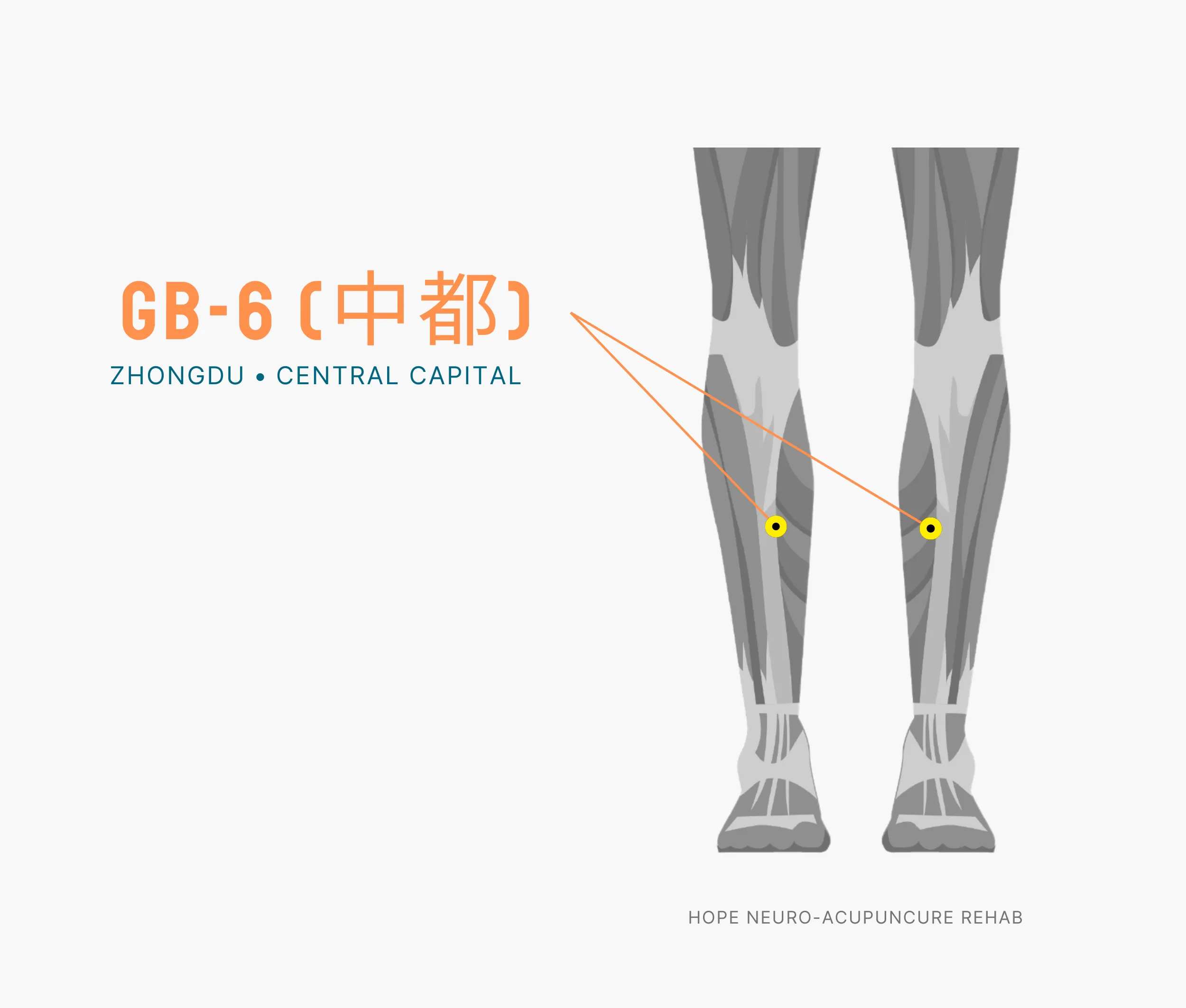 Diagram Showing Where the An Acupuncture Point is within the Liver Meridian