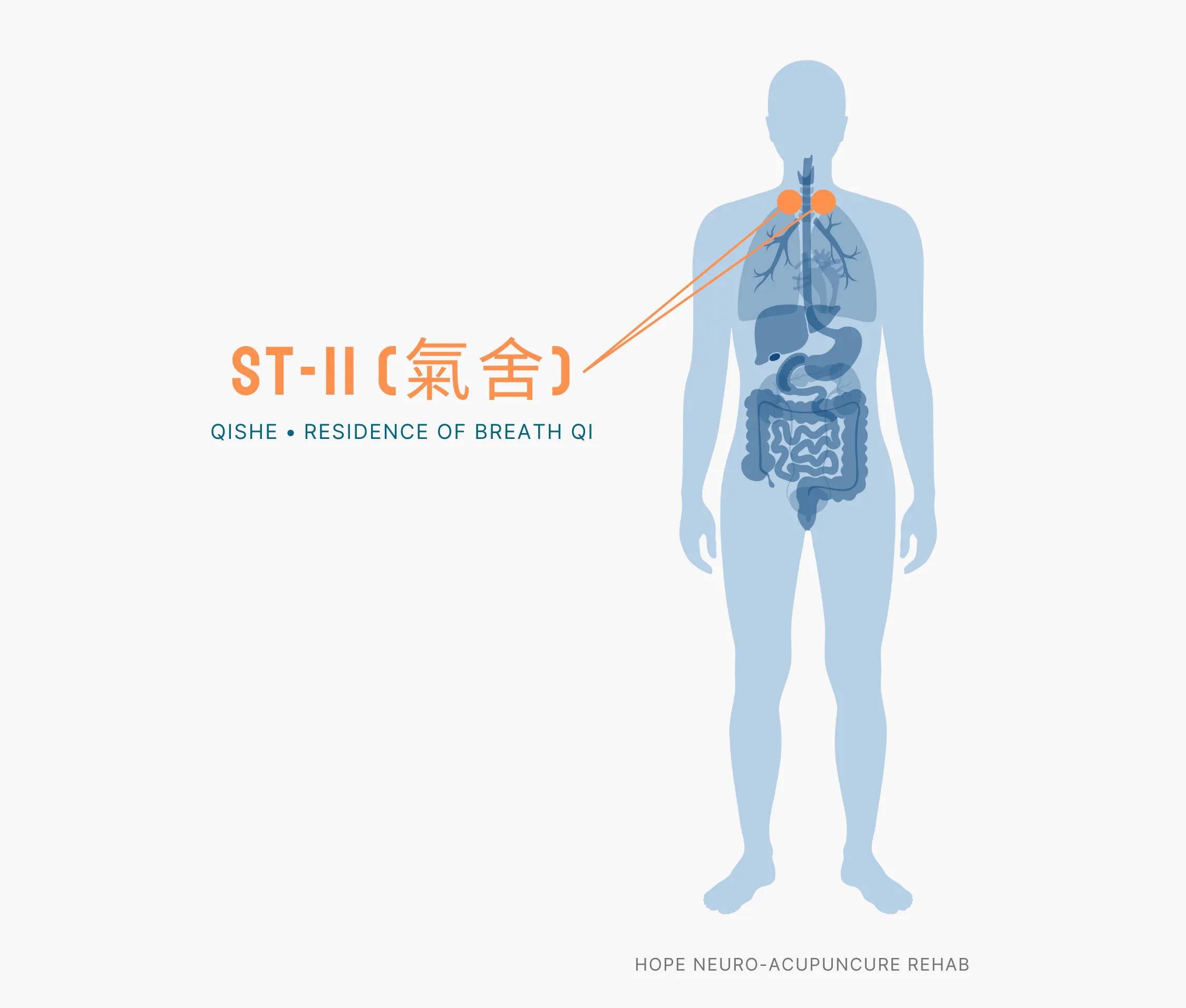 stomach-meridian-11-acupuncture-point.png