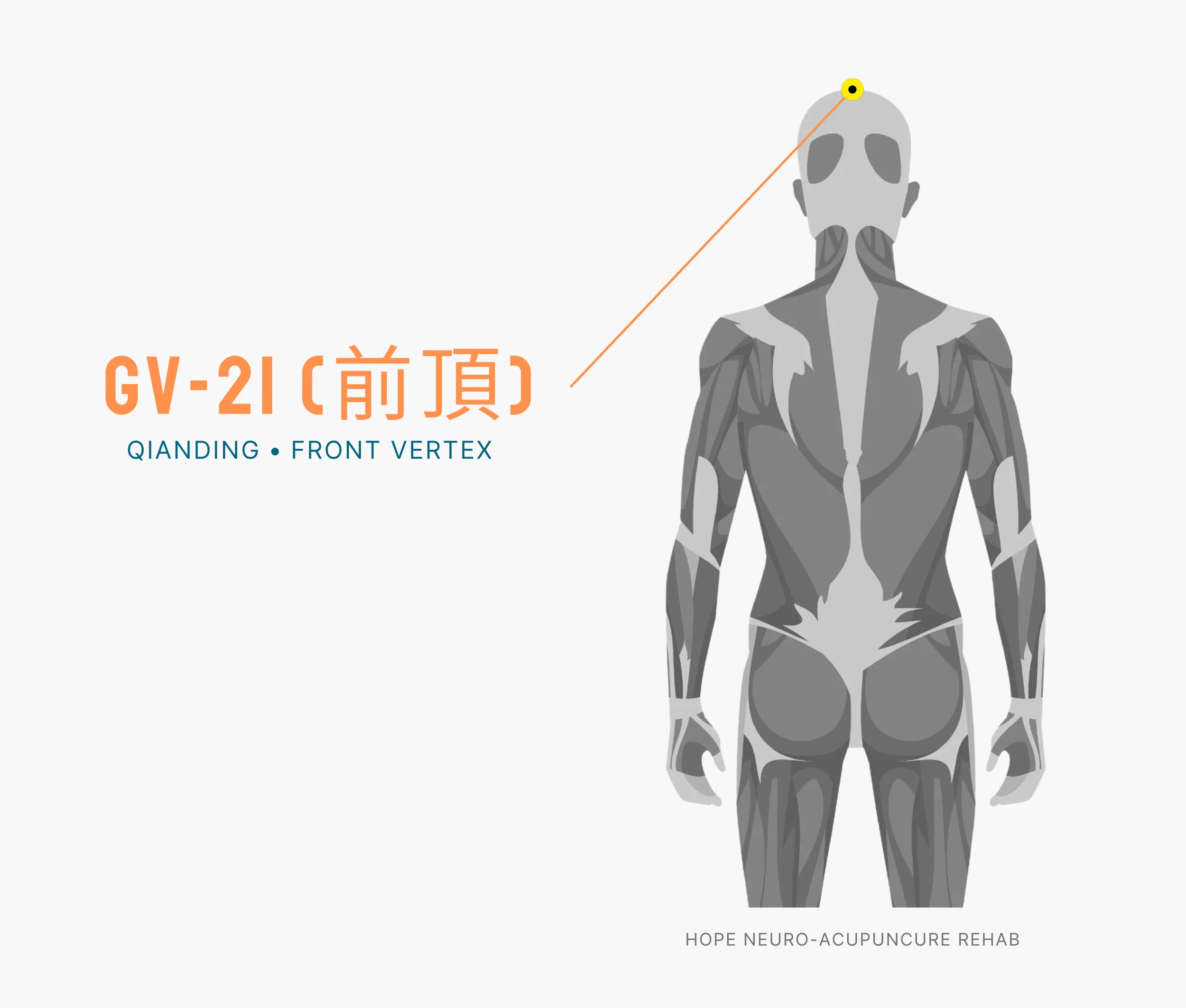 Diagram Showing Where the An Acupuncture Point is within the Governing Vessel Meridian