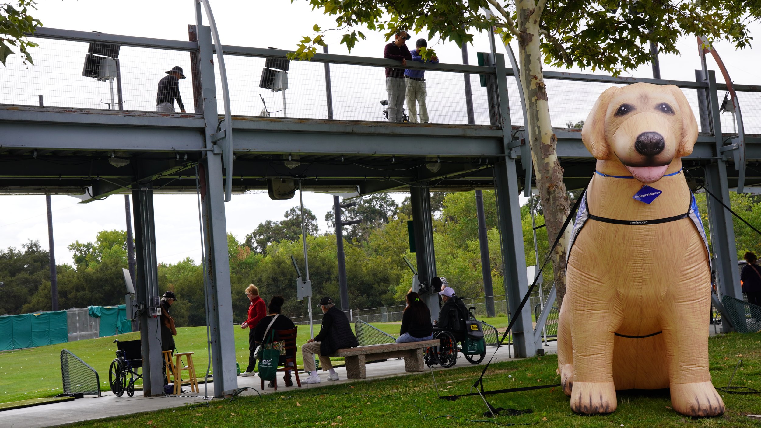 Outdoor community event venue with inflatable golden retriever and attendees in wheelchairs