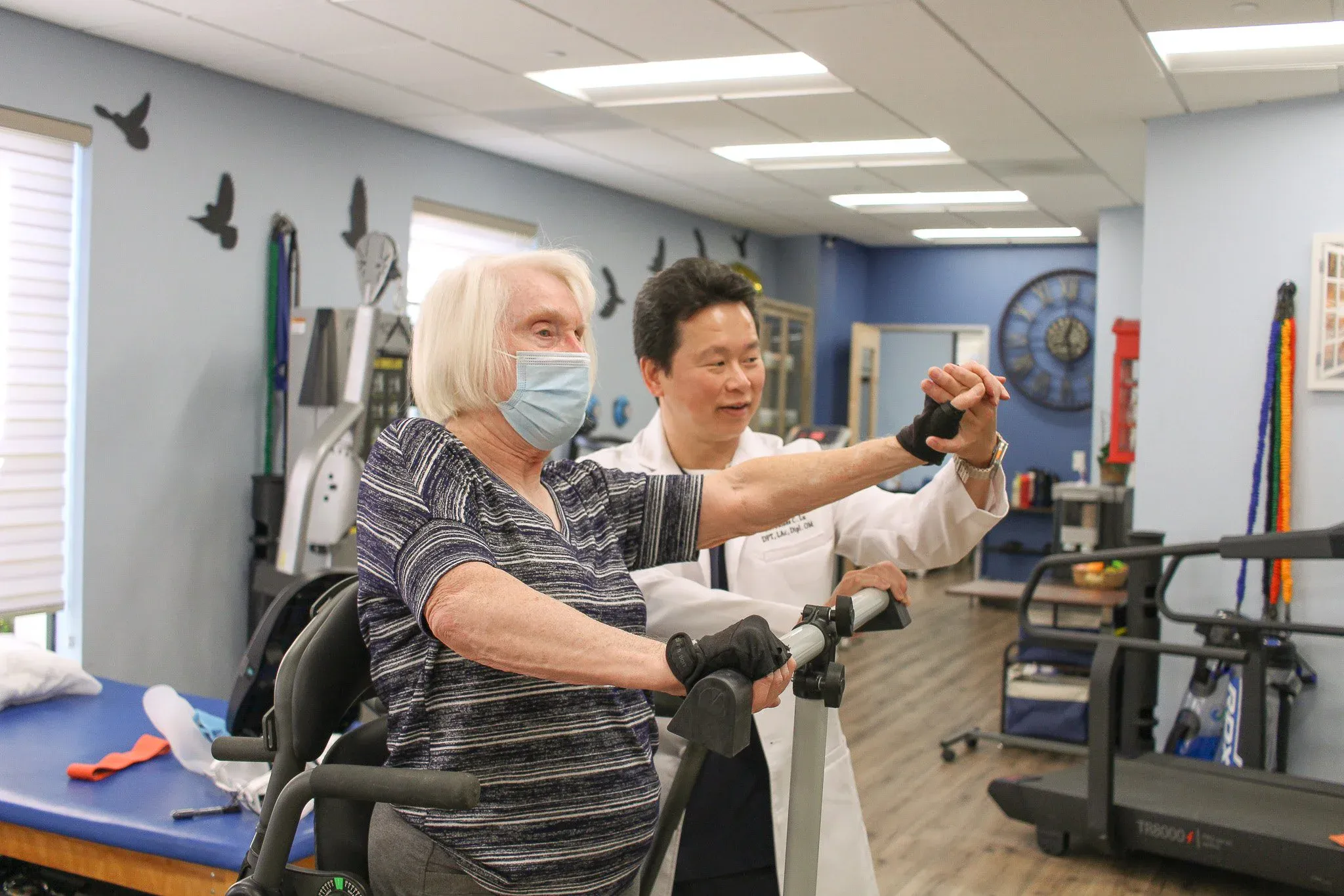 Herbal medicine and traditional treatments